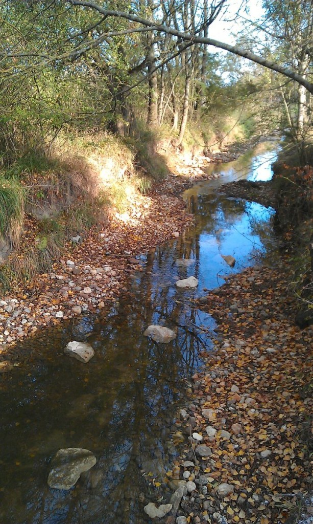 Recréation de méandres sur la Luire