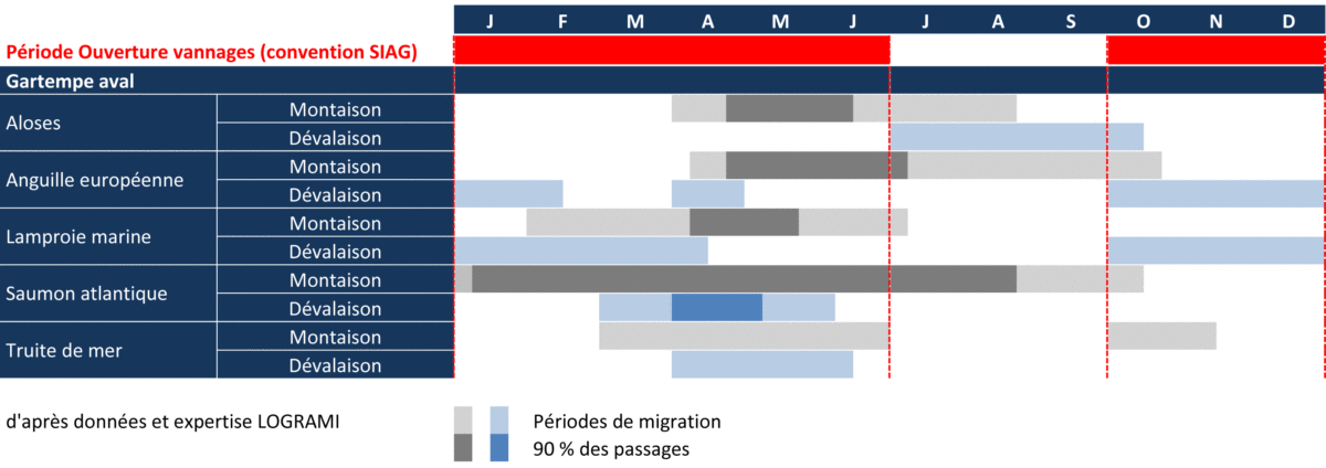 Calendrier de migrations des poissons migrateurs amphihalins sur la Gartempe aval