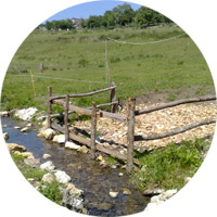 Abreuvoir en bord de rivière