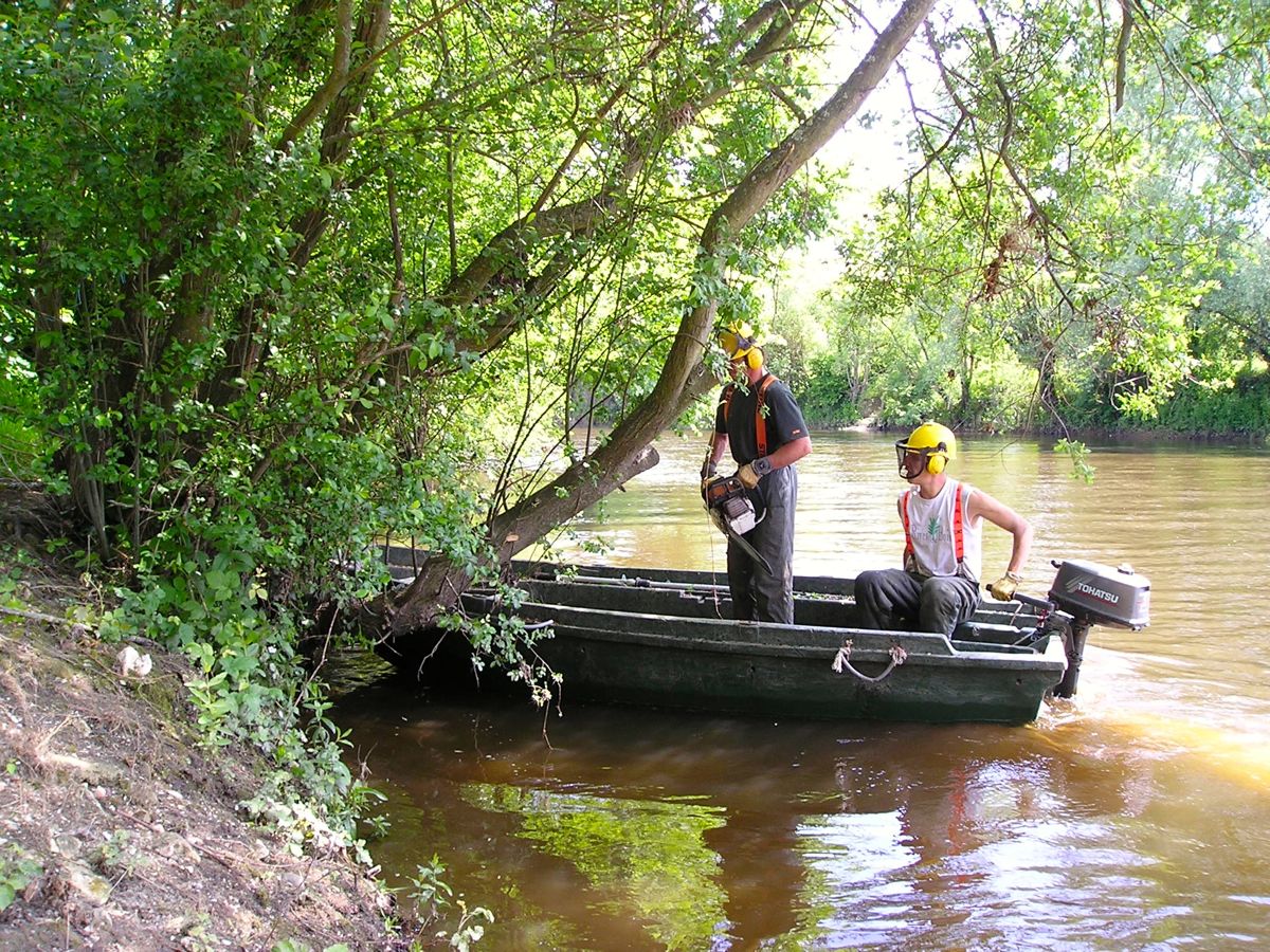 entretien des berges