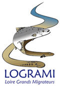 logo-logrami