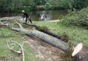Lancement de la troisième phase de restauration de la végétation des berges sur la Gartempe
