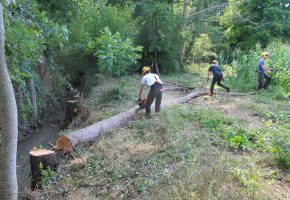 Réalisation des travaux de restauration sur le ruisseau du Ris