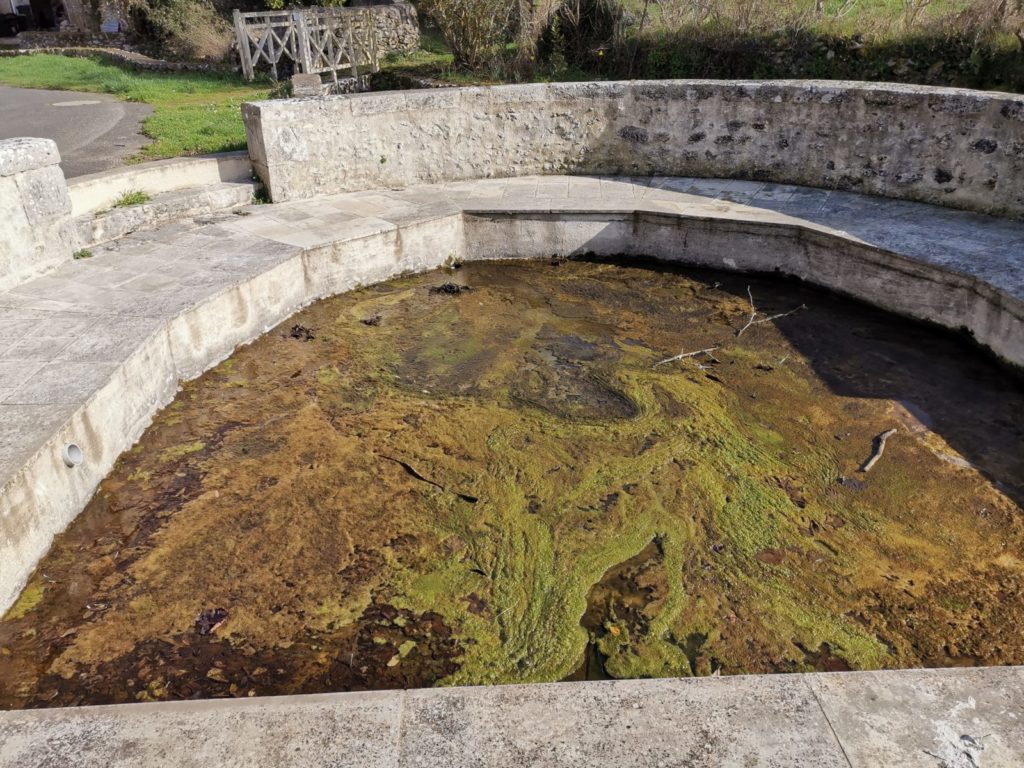 Source de la Luire à Pleumartin