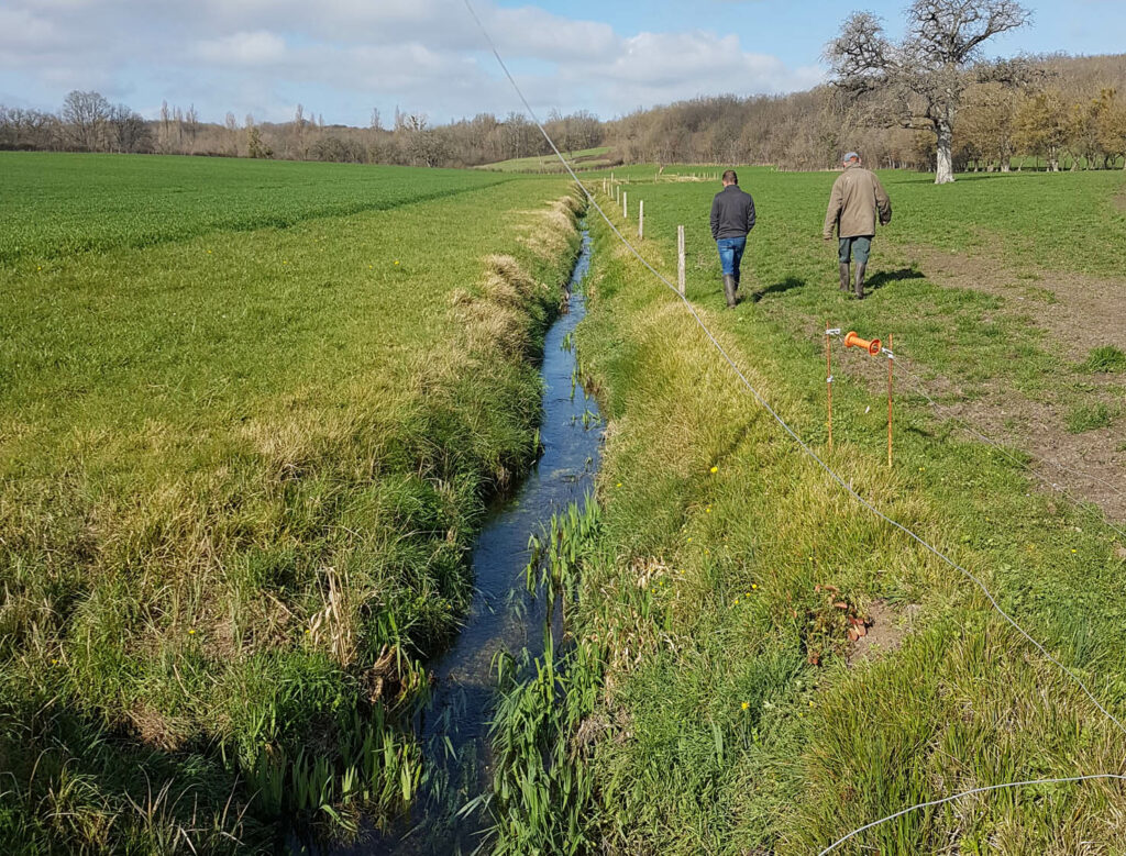 Plantation à effectuer sur le Ris