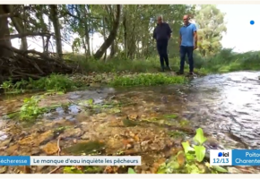 Situation des cours d’eau : Interview et passage au journal de France 3 région Poitou-Charentes.